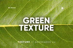 30 Green Textures