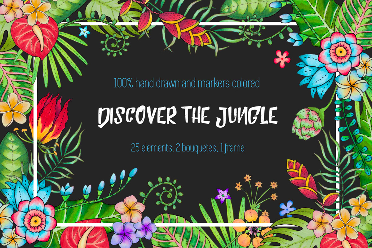 Discover the tropical jungle, a Decorative Illustration by Designifty (Photo 1 of 3)