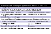 Xenta Serif fonts, a Serif Font by Wiescher Design (Thumbnail 8 of 8)