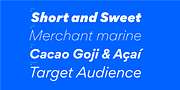 Gordita, a Sans Serif Font by Type Atelier (Thumbnail 5 of 11)