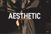 Eloque - Modern Font Duo, a Sans Serif Font by Prestigetype (Thumbnail 7 of 9)