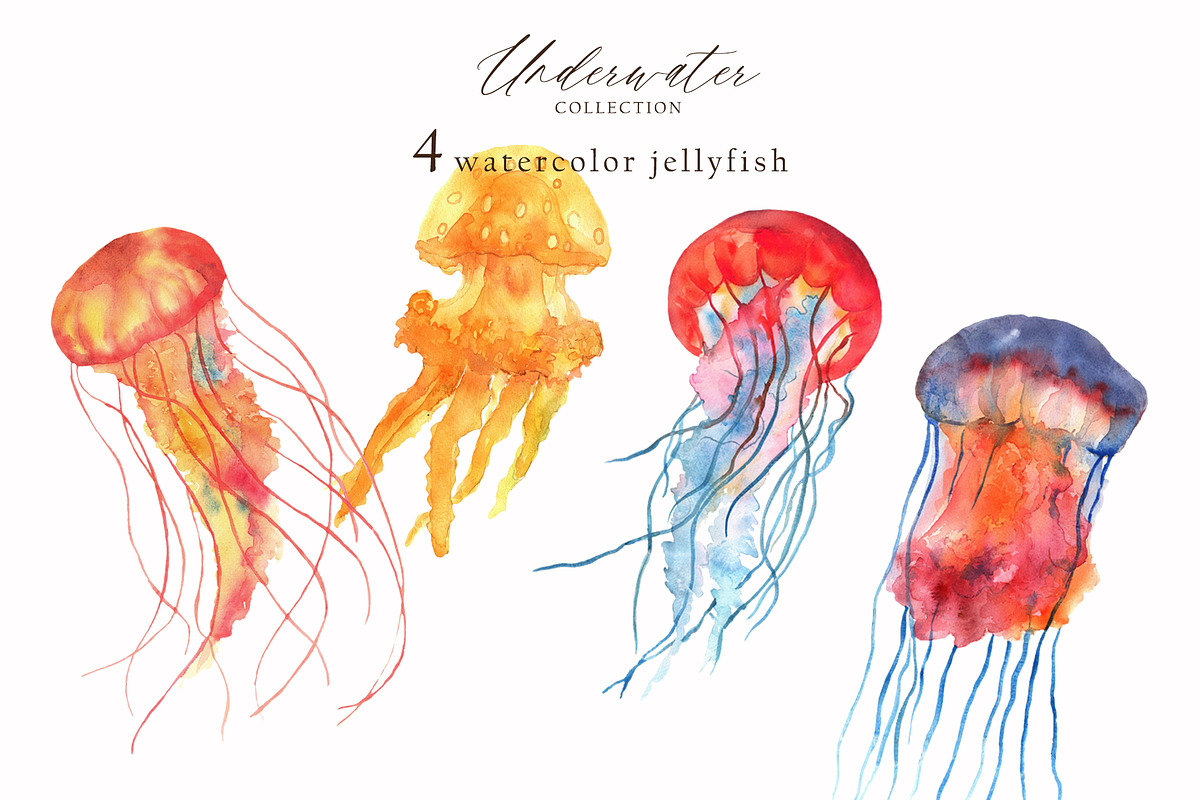 Watercolor whale. Sea underwater set, an Animal Illustration by Julycolor (Photo 14 of 21)