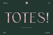 Canpile Stamp, a Sans Serif Font by Craft Supply Co. (Thumbnail 2 of 8)