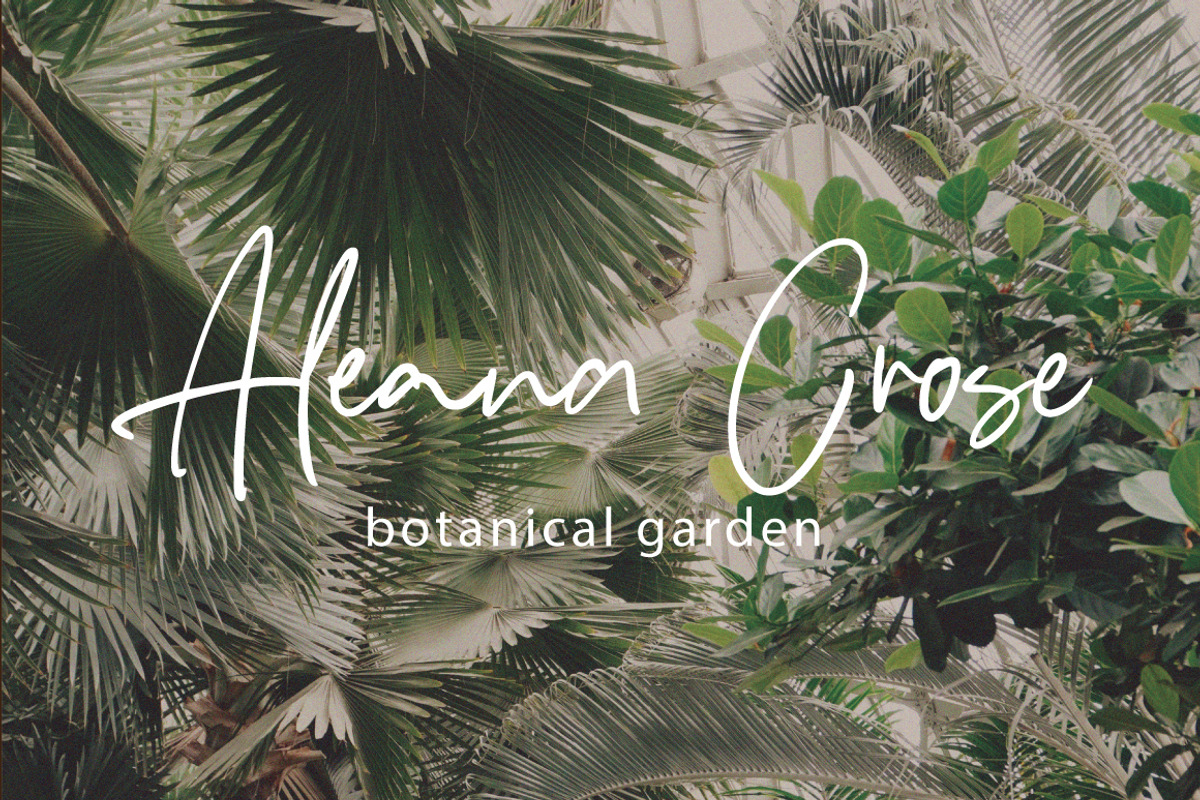 Hastipen - Handwritten Signature, a Handwritten Font by tebaltipislab (Photo 3 of 10)