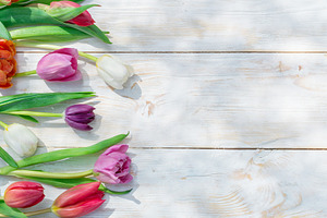 Colorful tulips on white wooden tabl, a Holiday Photo by Volff