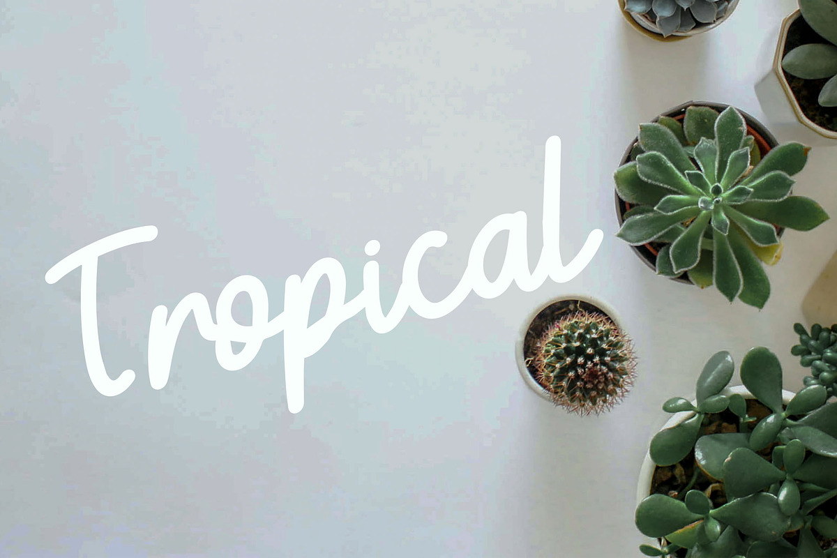 Bellia - Playful Script Font, a Script Font by NTC Graphic (Photo 6 of 9)