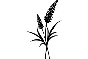 Decorative Tribal Feather Vector, an Object Graphic by Designer_Momina (Thumbnail 5 of 18)