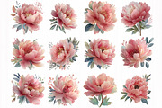 Peony watercolor clipart set, an Object Illustration by DreamCafeArt (Thumbnail 4 of 6)