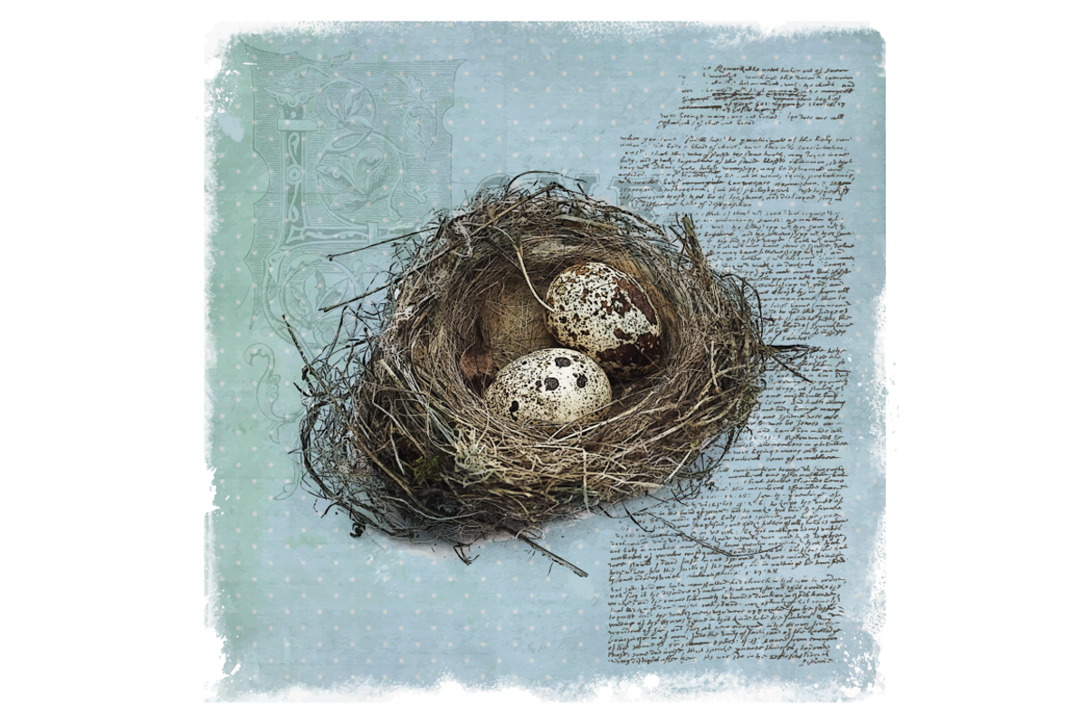 Quail's Nest - Blue Edition, a Decorative Illustration by Digital Art Downloads (Photo 3 of 3)