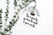 Butterfly | Script Font, a Handwritten Font by Scratchones (Thumbnail 4 of 8)