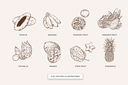 Exotic fruits Illustrations, a Food Illustration by MargauxQuercy (Thumbnail 2 of 4)