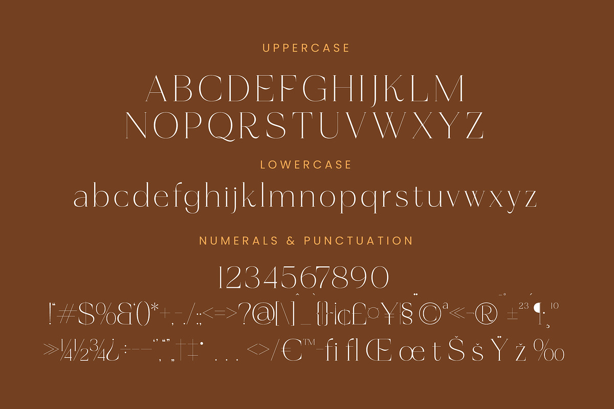 Amethys Mistralit Modern Display, a Serif Font by Letterena Studios (Photo 13 of 15)