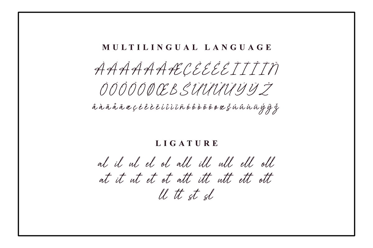 Bellany – Elegant Handwritten Script, a Script Font by dealitastudio (Photo 8 of 8)