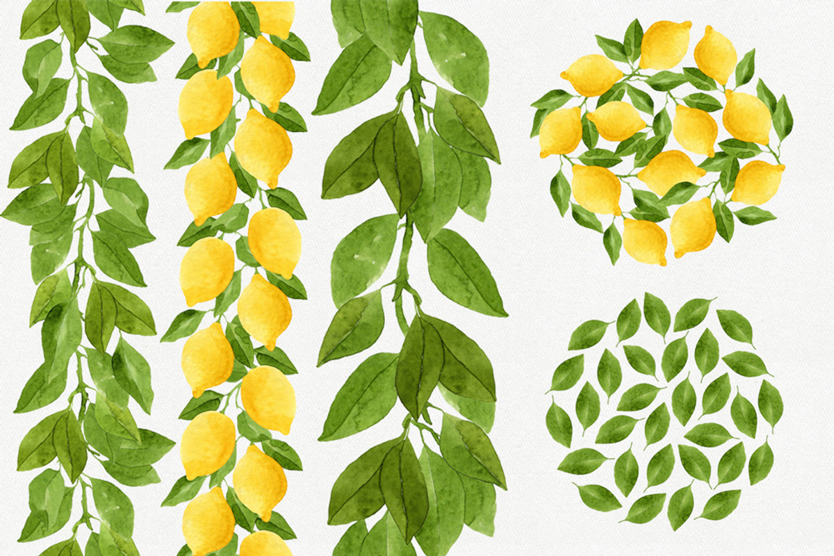 Watercolor Lemons Set, a Food Illustration by Helga Wigandt (Photo 4 of 9)