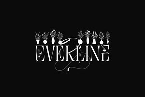 Everline - Luxury Serif Font Family