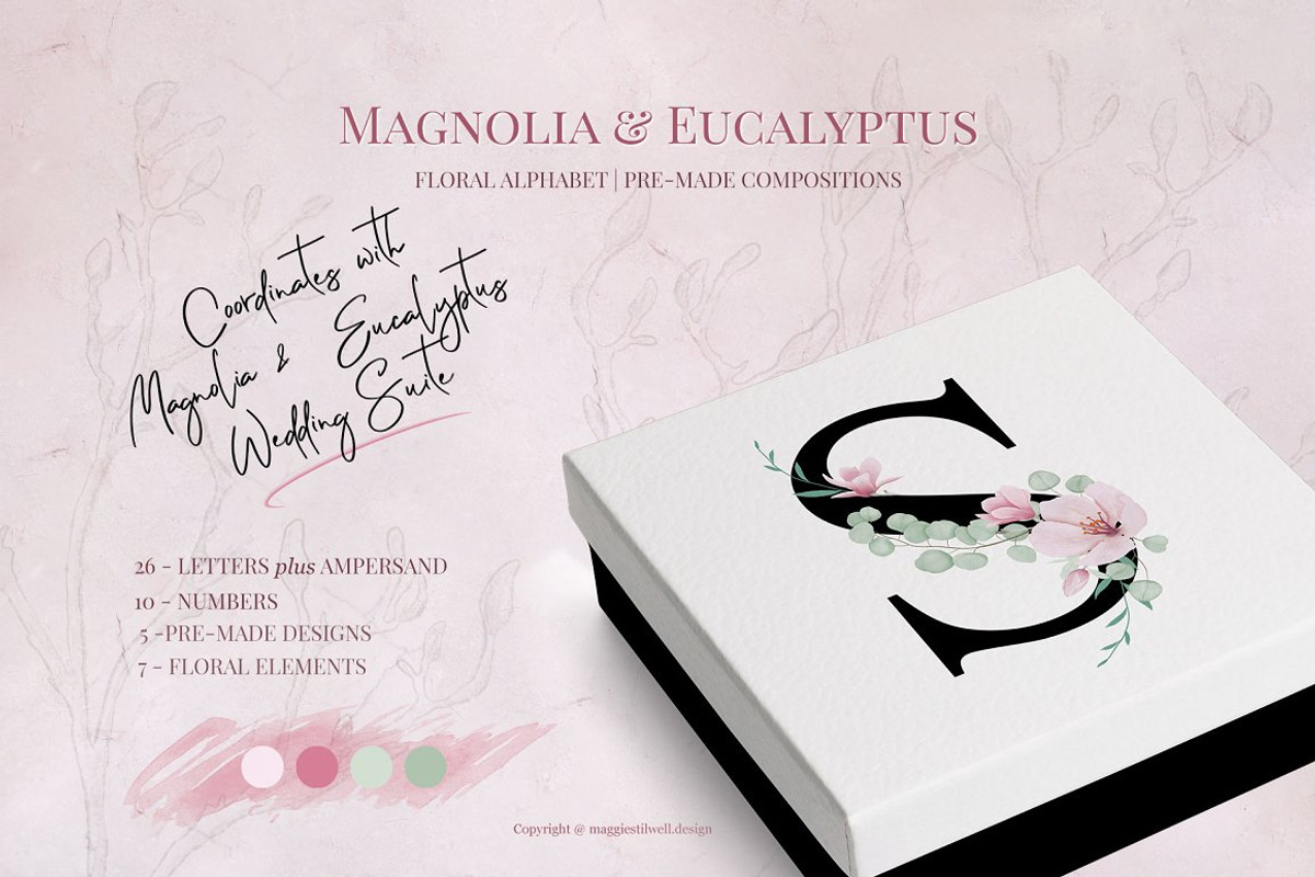 Magnolia & Eucalyptus Alphabet, an Illustration by Maggie Stilwell Design (Photo 1 of 5)