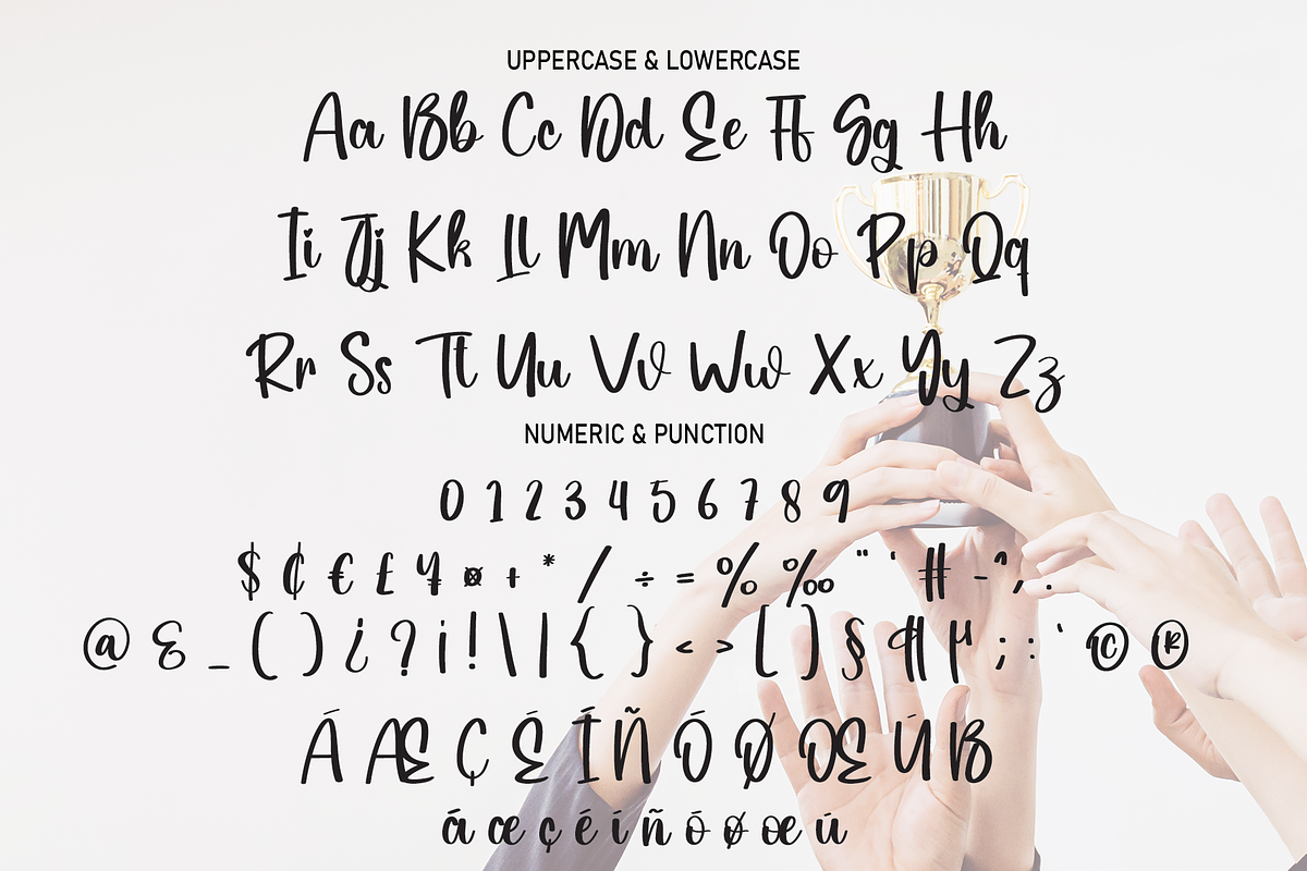 Champion | Script Font, a Script Font by Scratchones