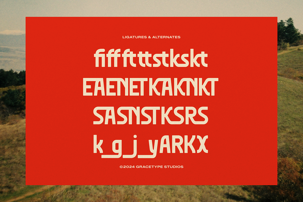 Oladro Churo | Display Sans Serif, a Sans Serif Font by gracetype_studio (Photo 11 of 12)
