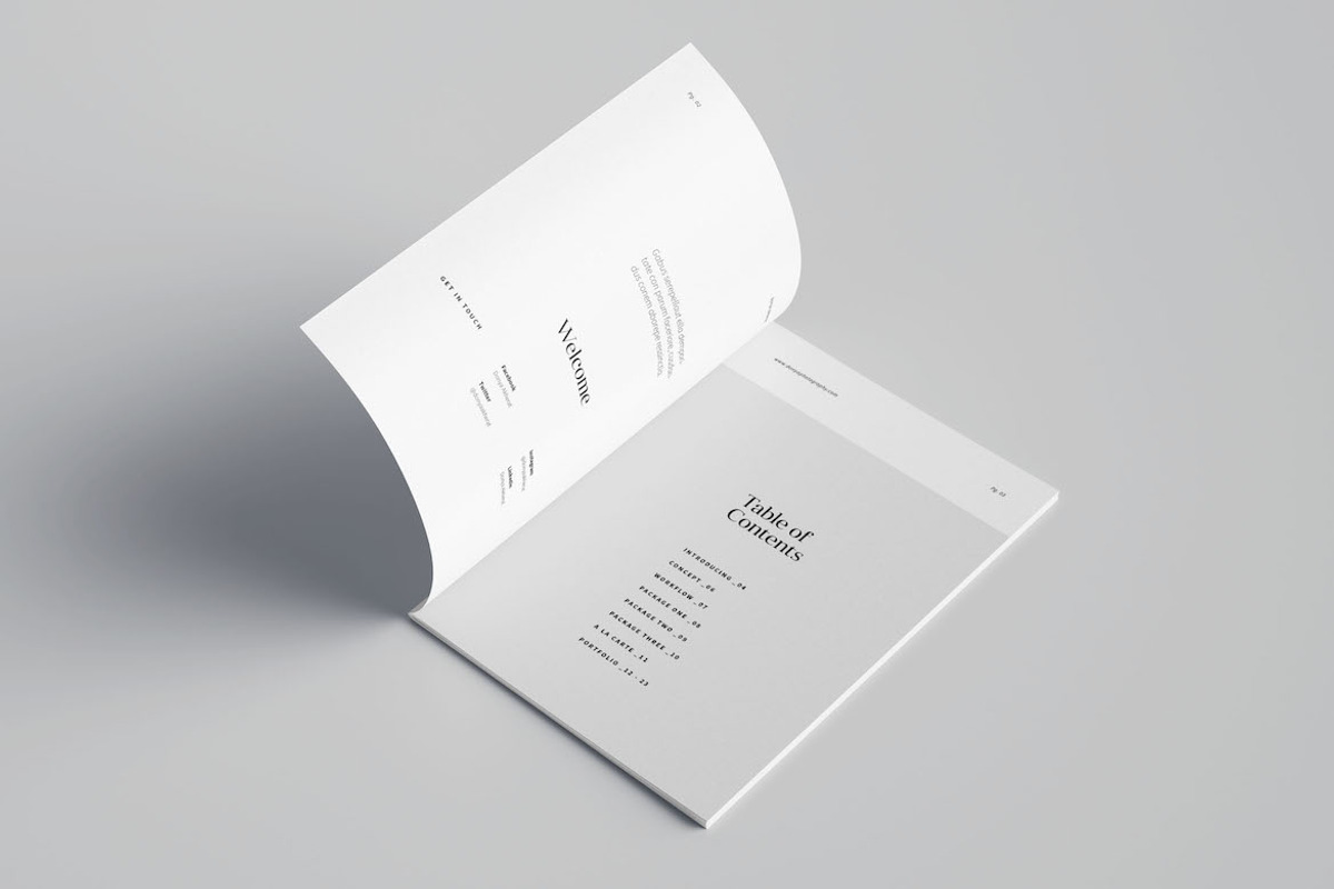 A5 Pricing Guide Template, a Brochure Template by Meenom Templates (Photo 2 of 15)