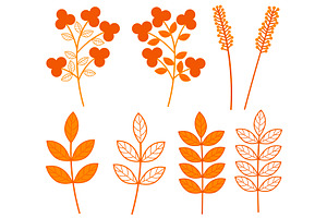 Autumn Plants. Orange Plants. Branch