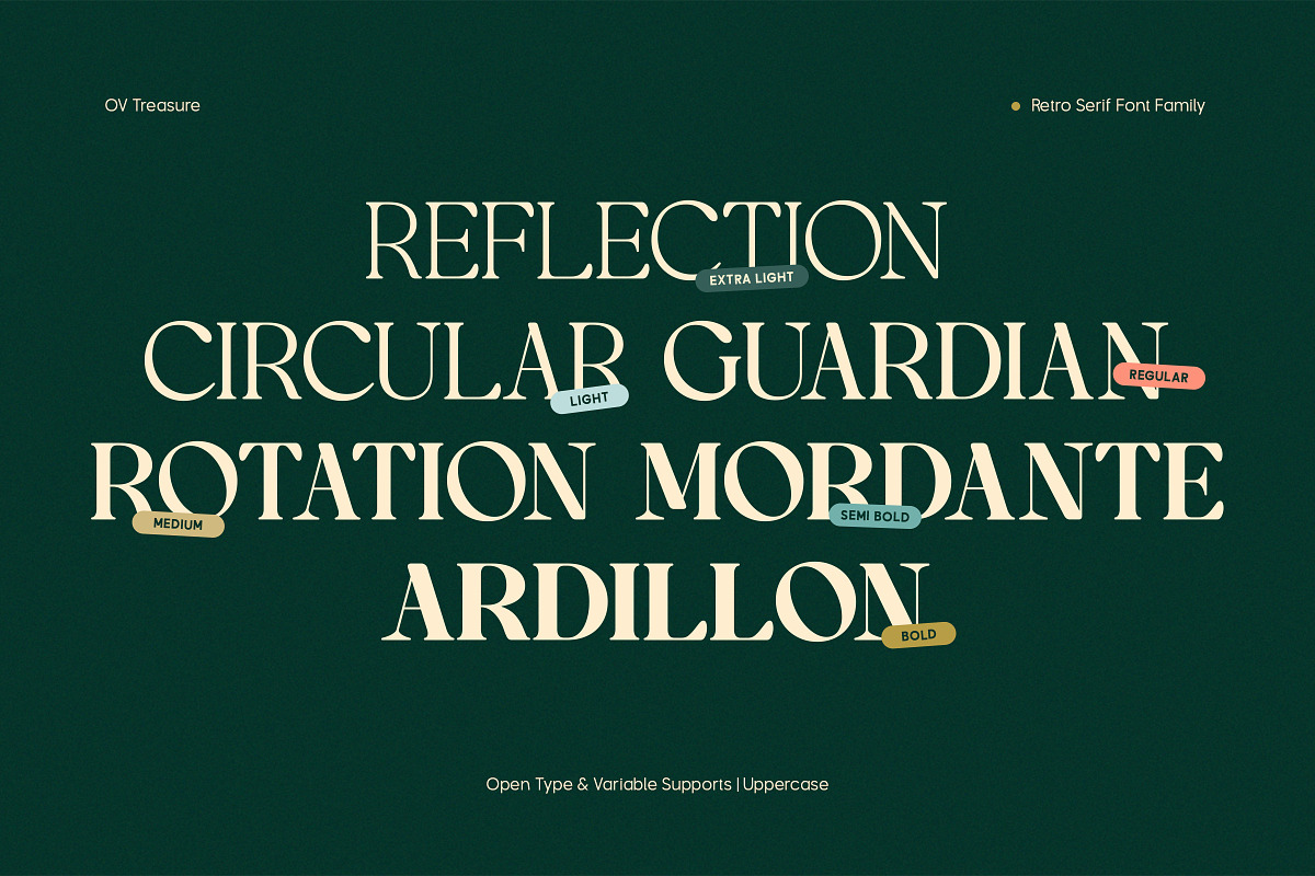 OV Treasure Retro Serif Font Family, a Serif Font by OV Type (Photo 7 of 21)