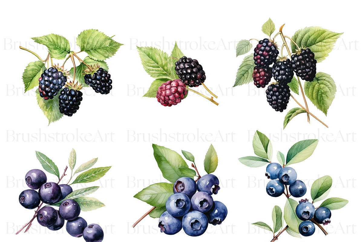 Watercolor Berry Clipart, Strawberry, a Food Illustration by BrushstrokeArtGB (Photo 4 of 9)