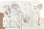 Dried flowers and backgrounds, an Object Graphic by dasha mo (Thumbnail 6 of 6)
