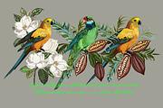 Tropical Vintage Vector Collection, an Animal Illustration by FleurArt (Thumbnail 2 of 7)
