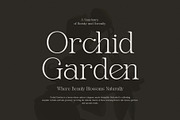 Gafien Elegant Modern Serif Font, a Serif Font by Graphicxell (Thumbnail 3 of 8)