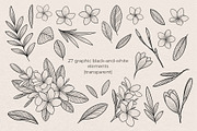 Illustration set Plumeria, an Illustration by Maria Summer (Thumbnail 4 of 13)