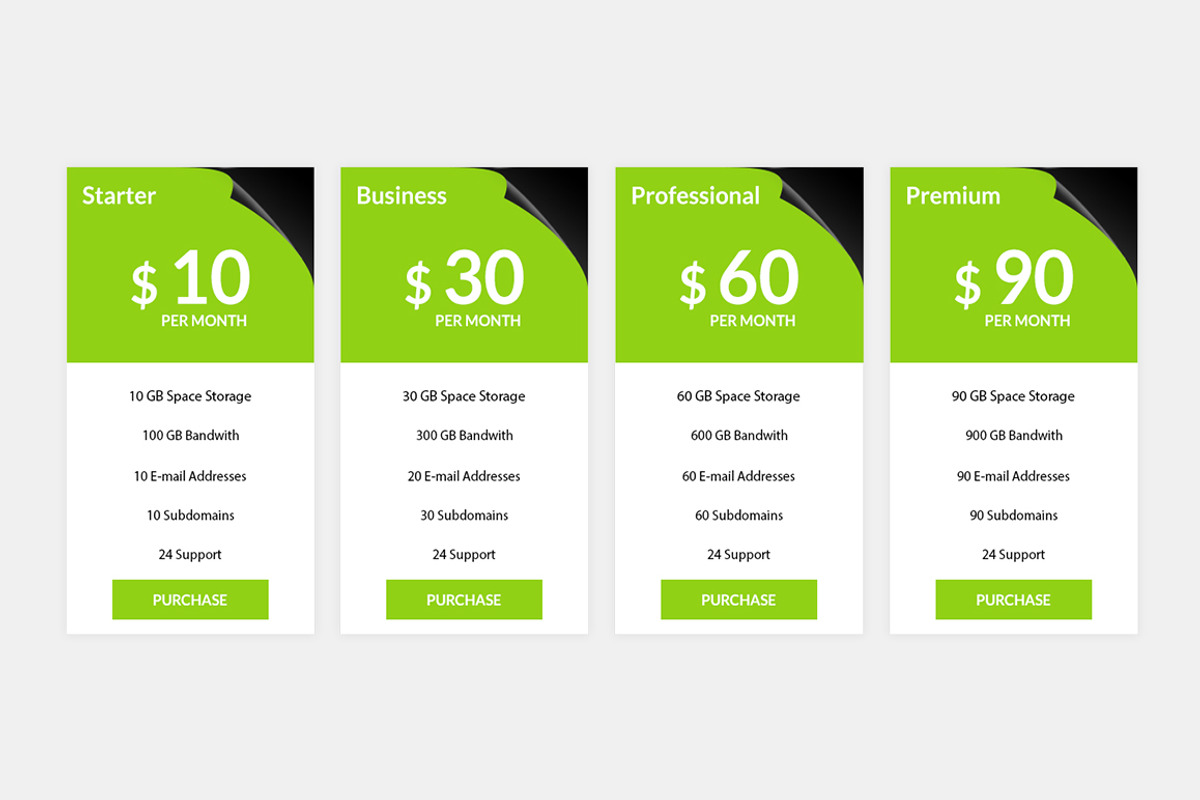 Pricing Table, a Templates & Theme by Youme Techworld (Photo 3 of 8)