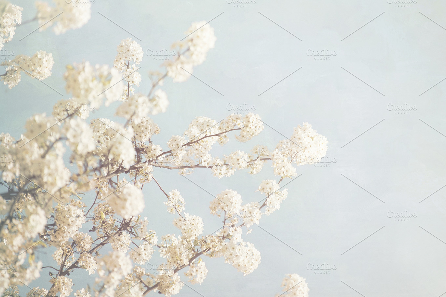 Spring Is Here