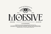 Lowesa Romance, a Serif Font by Moodtype (Thumbnail 2 of 6)
