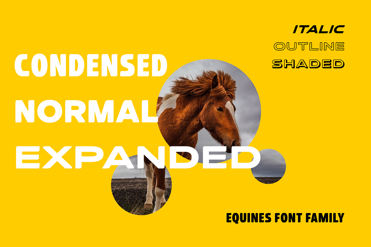 Equines Display Bold Family Complete, a Sans Serif Font by Attractype (Photo 2 of 9)
