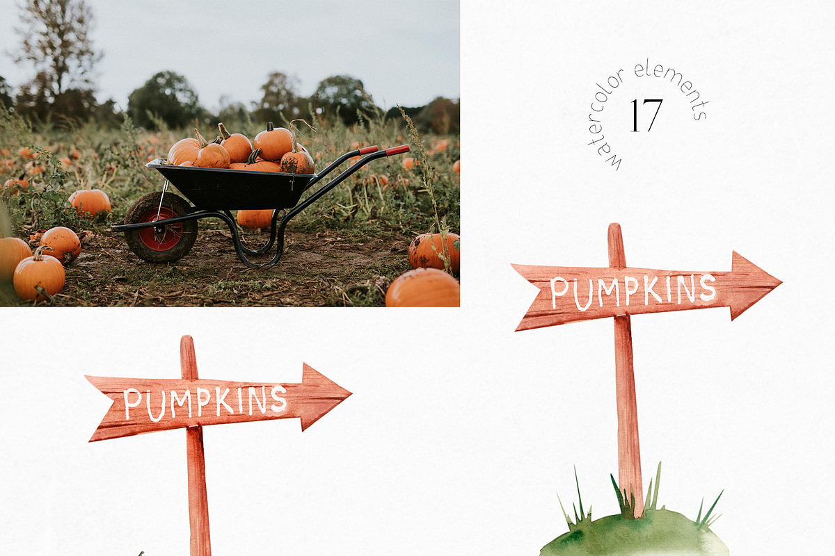 Watercolor Fall Pumpkin Clipart, a Decorative Illustration by YuliyaArtGarden (Photo 4 of 5)