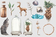 Magic Mandrake, an Illustration by Eisfrei (Thumbnail 3 of 8)