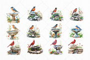 Birds on Water Fountain Clipart Set, an Animal Illustration by The Twin Lakes Studio (Thumbnail 4 of 9)