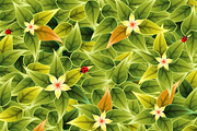 Textures and Patterns, a Decorative Illustration by TAlex (Thumbnail 6 of 6)