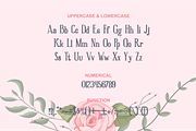 Great Brington, a Serif Font by BearyType Studio (Thumbnail 5 of 10)