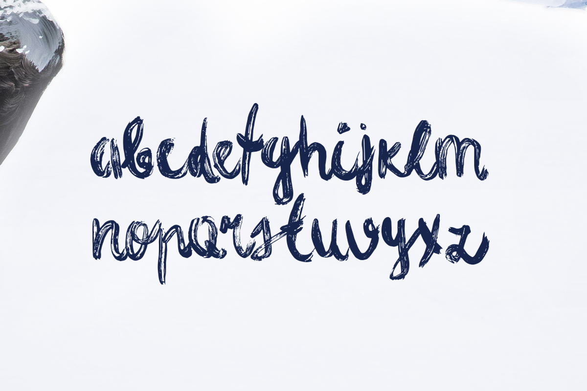 Fjord Brush Font preview 7