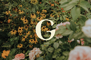 GARDEN: Hand Illustrated Retro Font