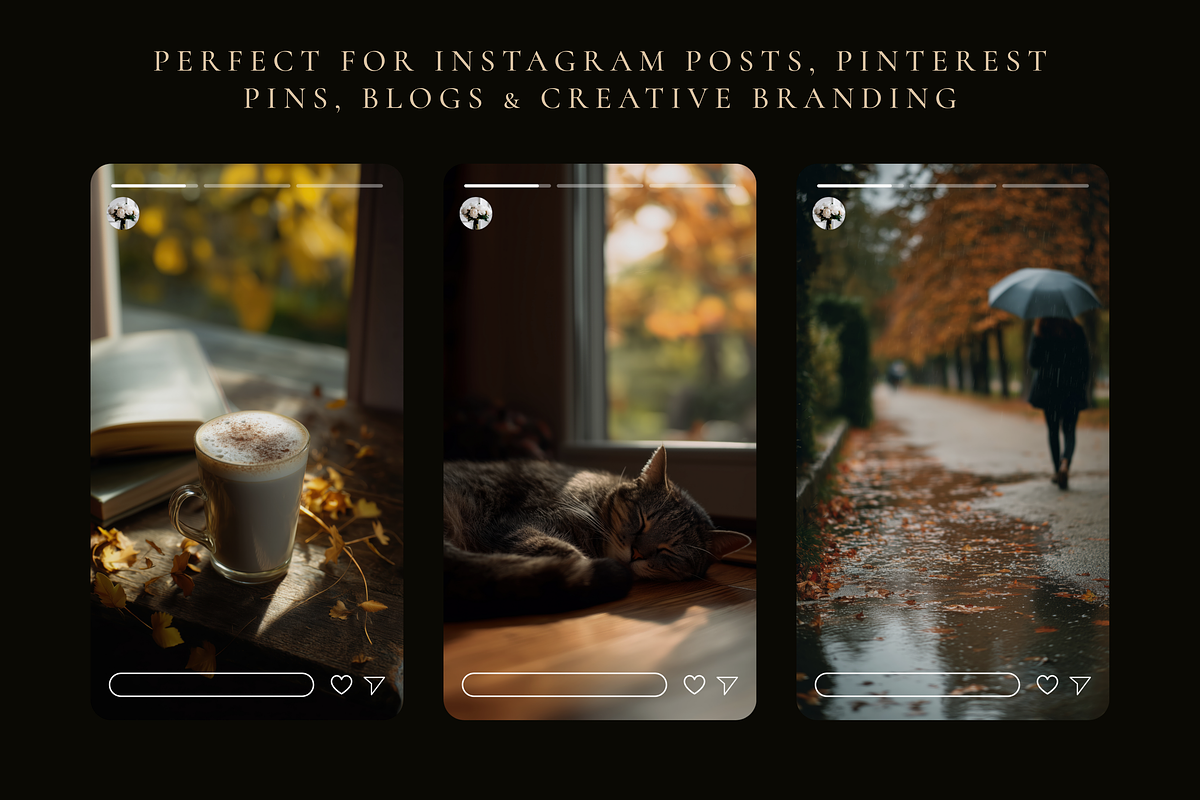 Cozy Autumn Stock Photo Bundle, a Person Photo by Serenefeeling (Photo 18 of 26)