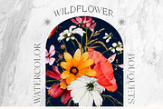 Watercolor Wildflowers & Leaves, a Decorative Illustration by Damian Roh (Thumbnail 7 of 24)