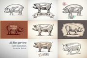 Pigs in graphical style, an Animal Illustration by Countryside life (Thumbnail 10 of 11)