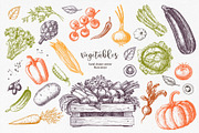 Vegetables. Hand drawn collection., a Food Illustration by natadanko (Thumbnail 4 of 7)