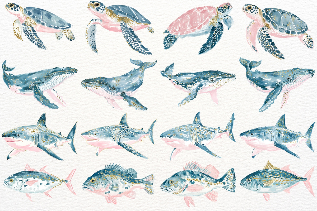 Undersea Ocean Animals PNG Clipart, an Animal Illustration by SugarCloudStudioArt (Photo 2 of 7)