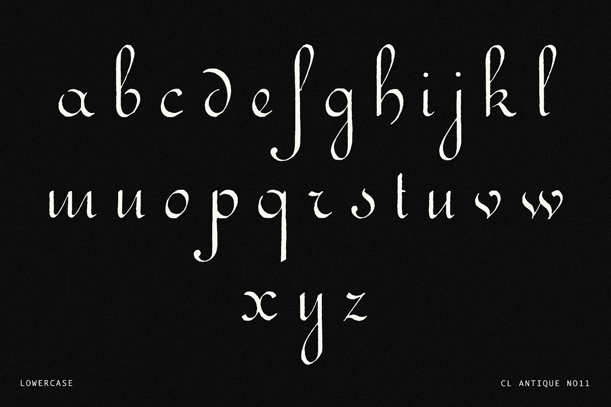 Elegant Vintage Calligraphy Font, a Script Font by Century Library (Photo 4 of 7)