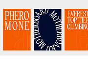 Pheromone | Modern Classic Serif, a Serif Font by Lettertype Studio (Thumbnail 5 of 20)
