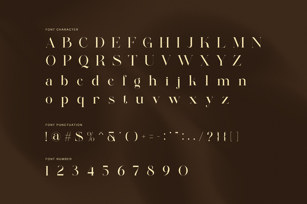 Andin Elegant Serif Font, a Serif Font by Perfectype (Photo 7 of 8)