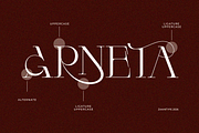 Arneta, a Serif Font by zaaintype (Thumbnail 2 of 11)